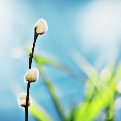 1920 x 1080 HD Wallpapers 222